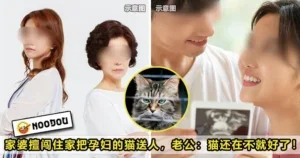 Mother in Law Give Cat Away Pregnant Feature Image 1