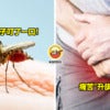 Man Penis Hurt After Mosquito Bite
