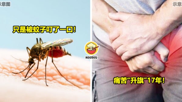 Man Penis Hurt After Mosquito Bite