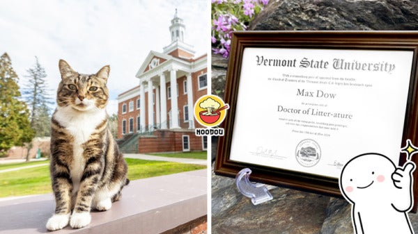 Max the cat gain a professor degree