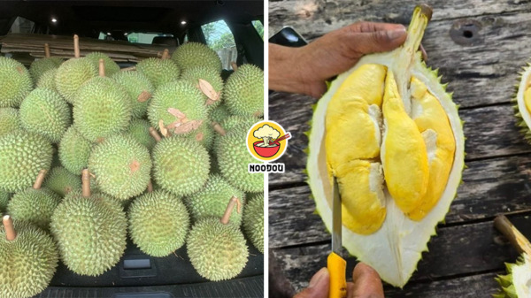 Msian Vietnam Durian Feature Img