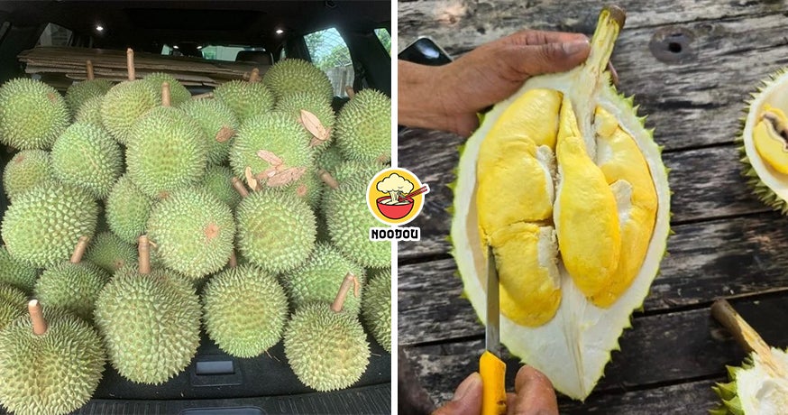 Msian Vietnam Durian Feature Img