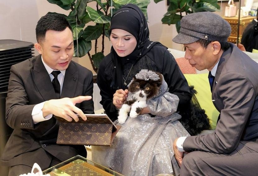 Cat Money Lv Birthday Party Haliza Maysuri Mohd Rosli Awang