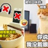 Cannot use phone or earphone while eating