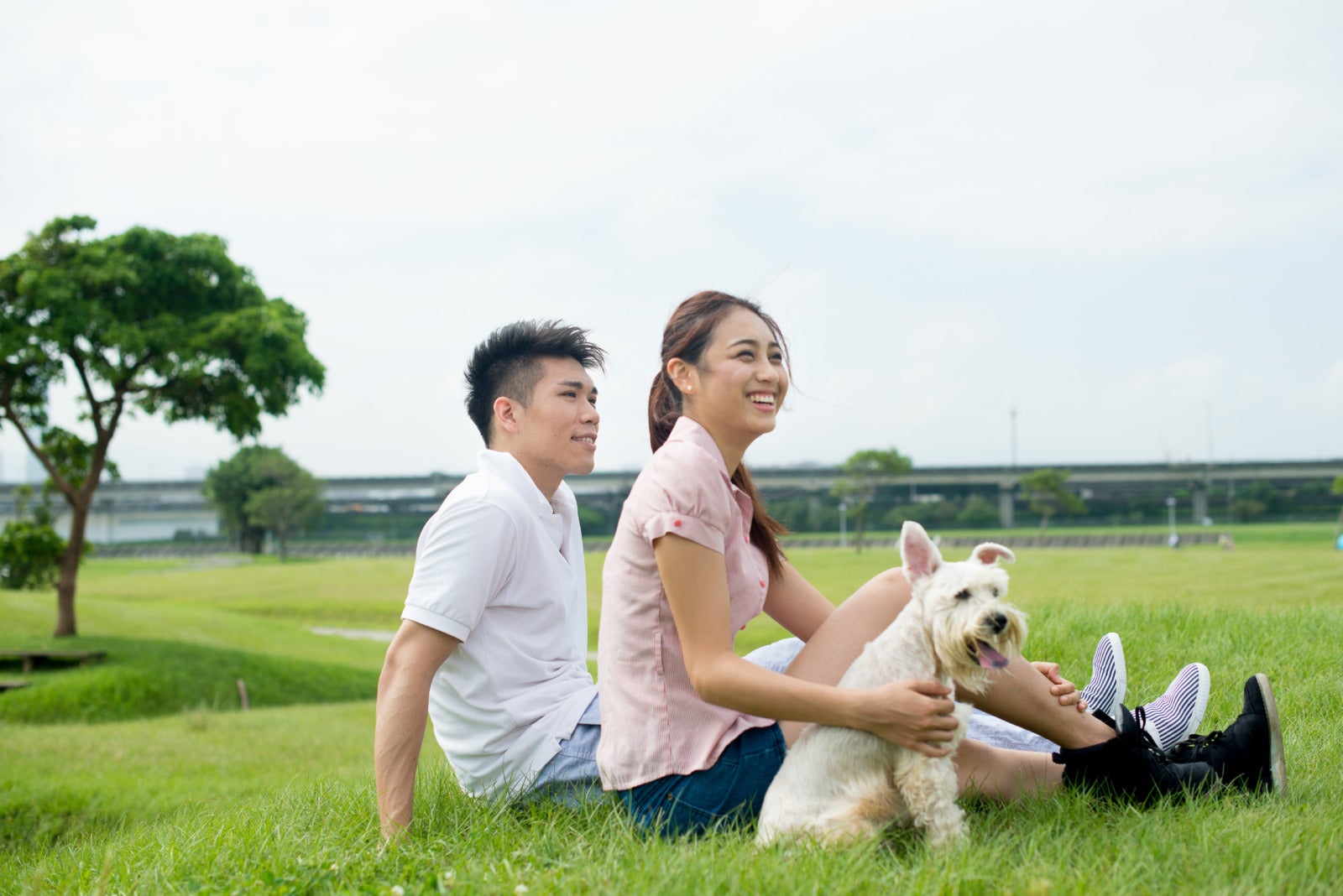 asian couple pet dog park field 123rf