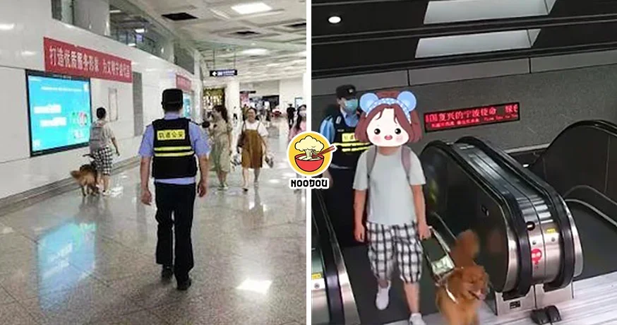 Police Follow Blind Woman 400 Days Feature Image
