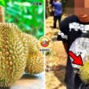 Steal 3 Durian Rm10K Feature Img