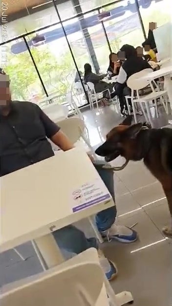 Man Bring Pet Dog Into Convenient Store 3