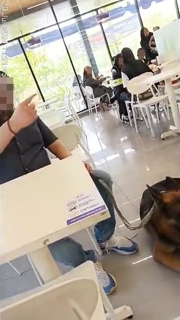 Man Bring Pet Dog Into Convenient Store 4