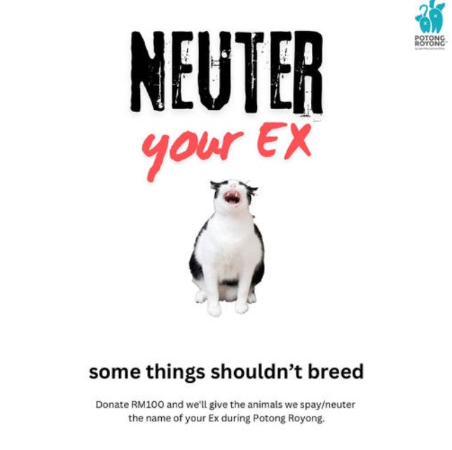 Neuter