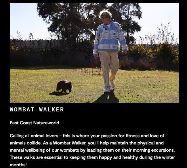 Odd Jobs Tasmania Website Wombat Walker