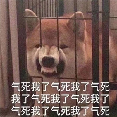 气死 表情包