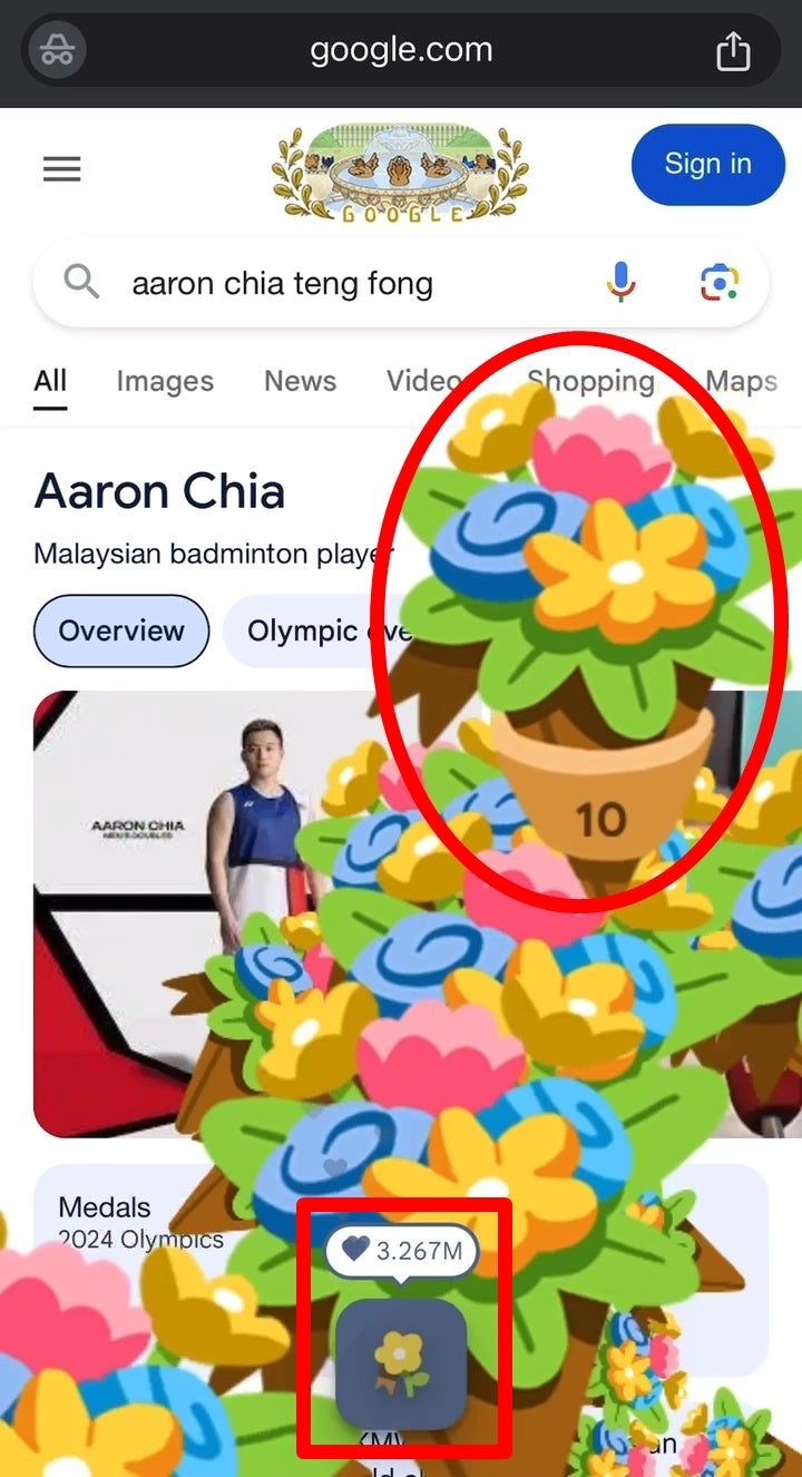 Google Olympics 2024 Winner Soh Wooi Yik Aaron Chia Flower Medal Bronze 4