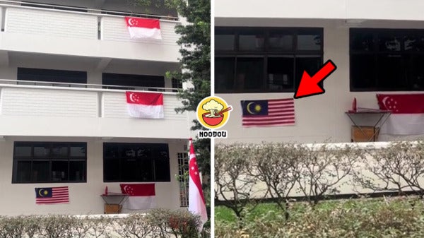 Msia Sg Flag Flat Feature Img