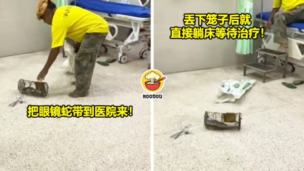 man take cobra to hospital for treat