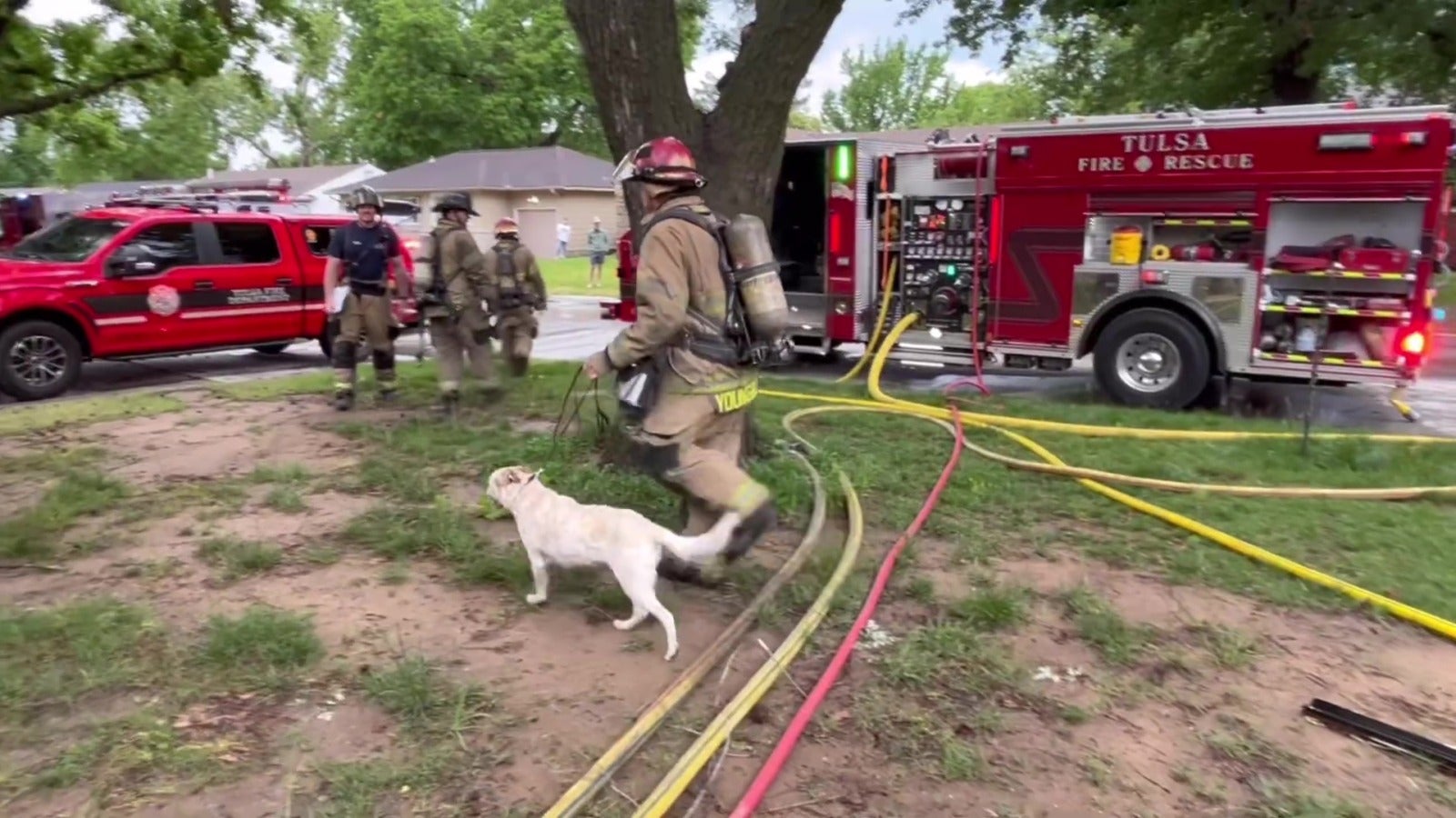 Tusla Fire Department Dog Rescued Safe 1