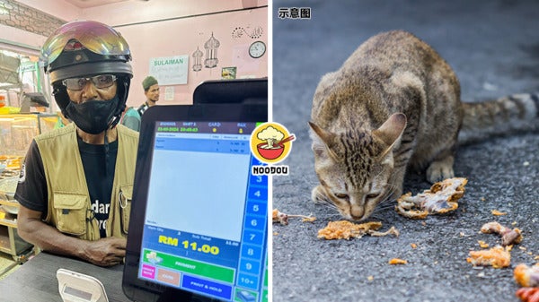 Nasi Kandar Record Everyday Feed Cat Feature Img 1