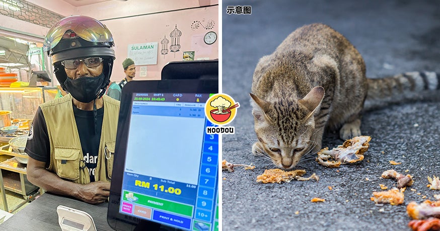 Nasi Kandar Record Everyday Feed Cat Feature Img 1