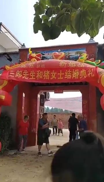 男子为博红跟住举办婚礼结婚被处罚 3