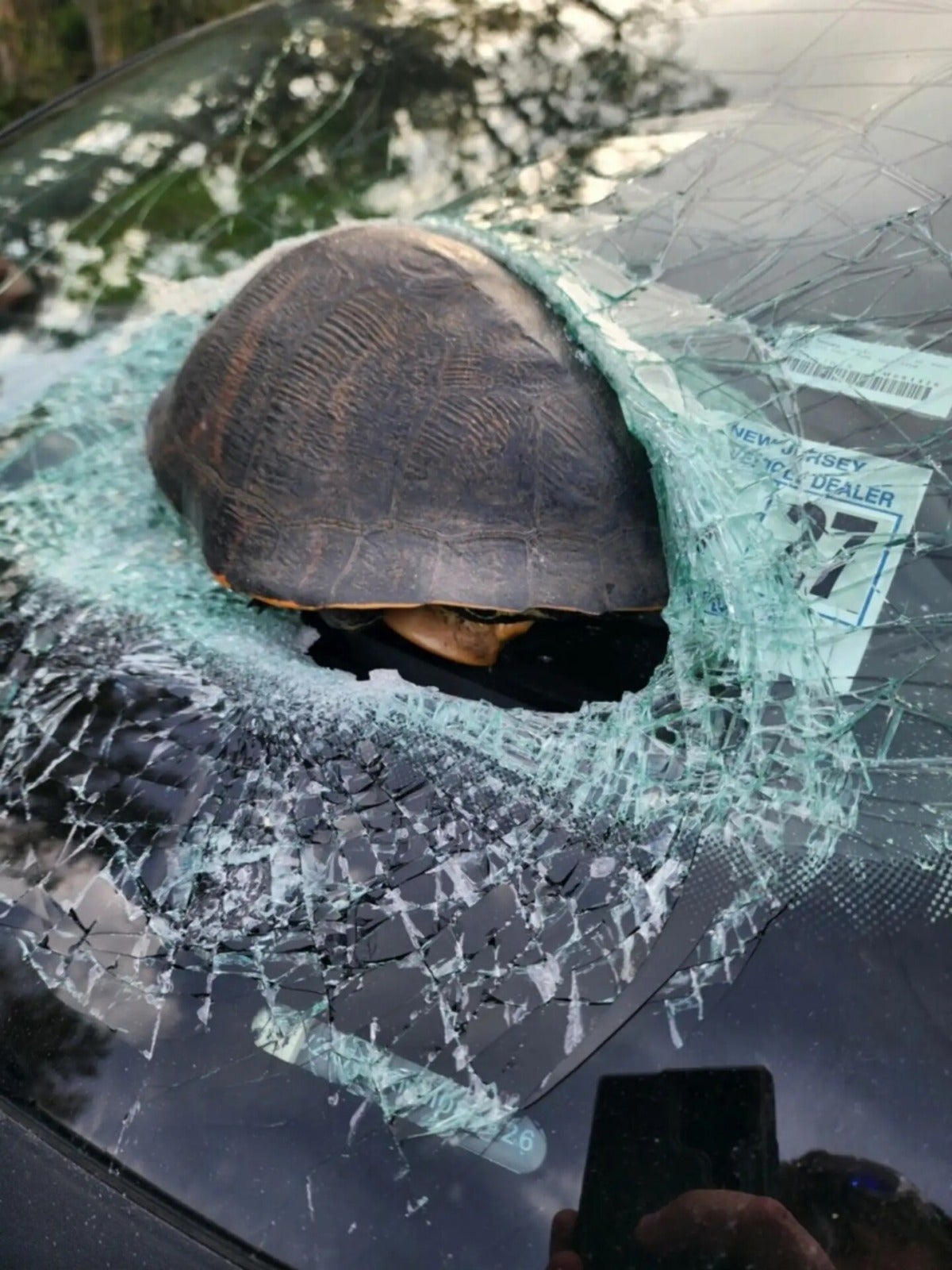 turtle smash car front window mario kart 2