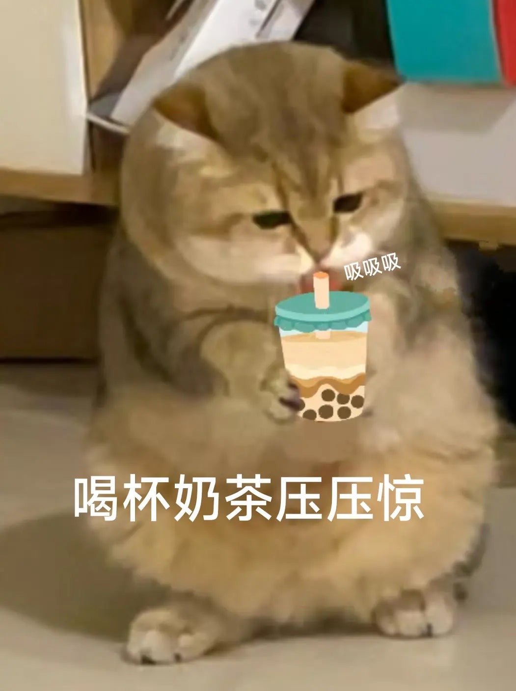 奶茶1