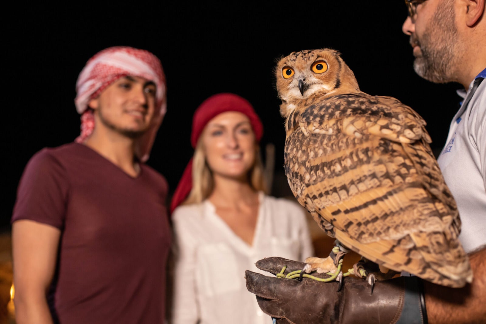 Private Night Safari And Astronomy Platinum Heritage 18 Owl Encounter