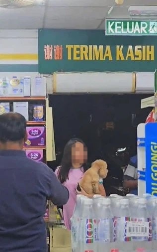 Bring Dog To Mini Mart