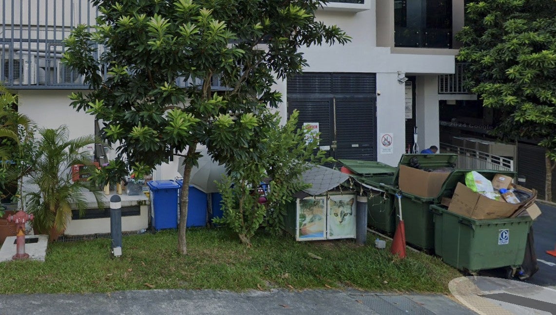 google maps review adik cat house singapore