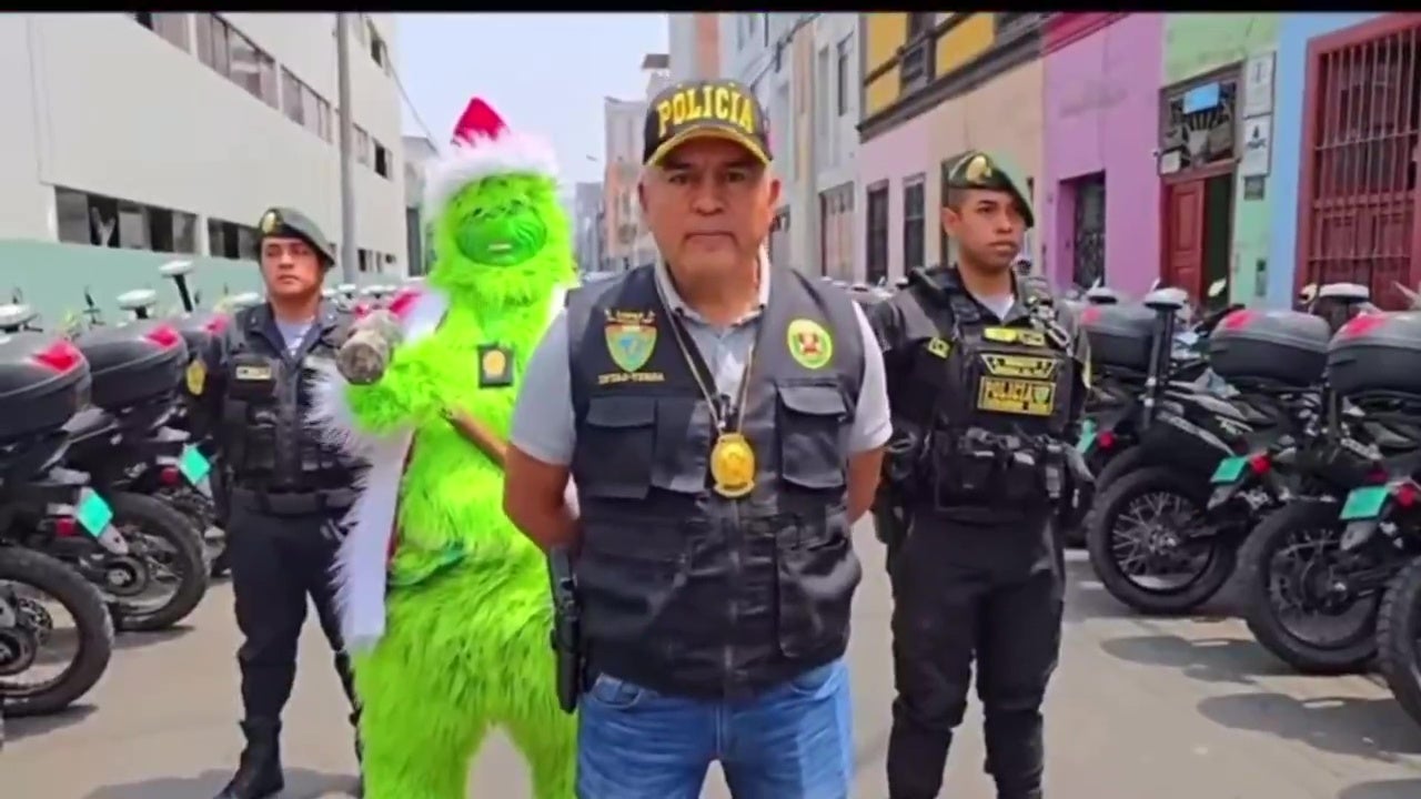 police in grinch costume cosplay raid criminal 5