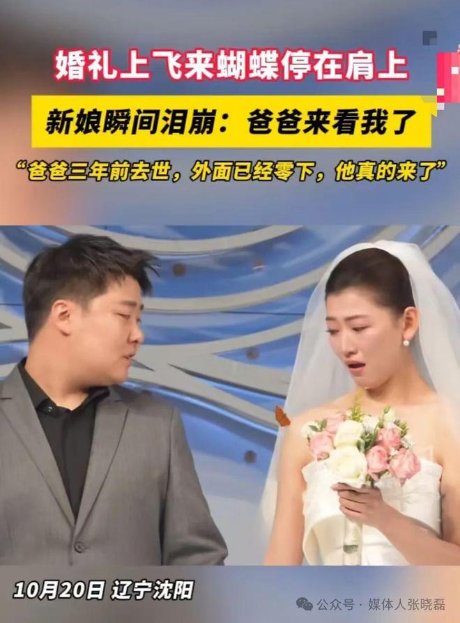 蝴蝶 1