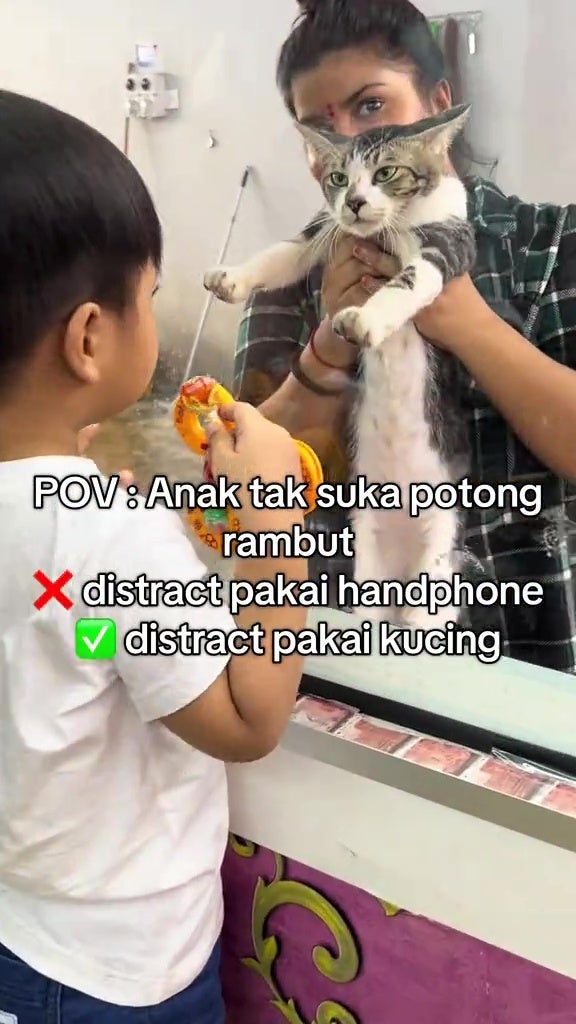 barbershop cat kid cute msian 3