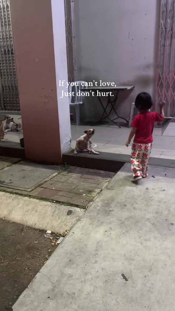 malay parents kids feed stray dogs food love animals 1