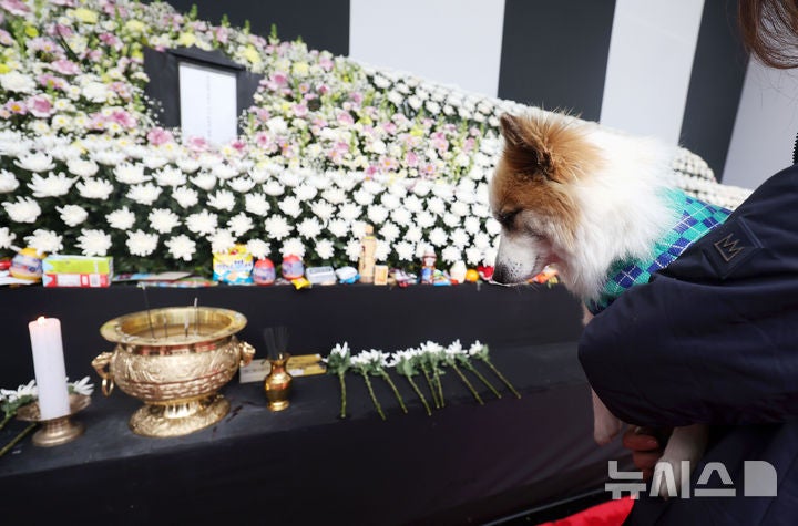 pudding attended funeral 5