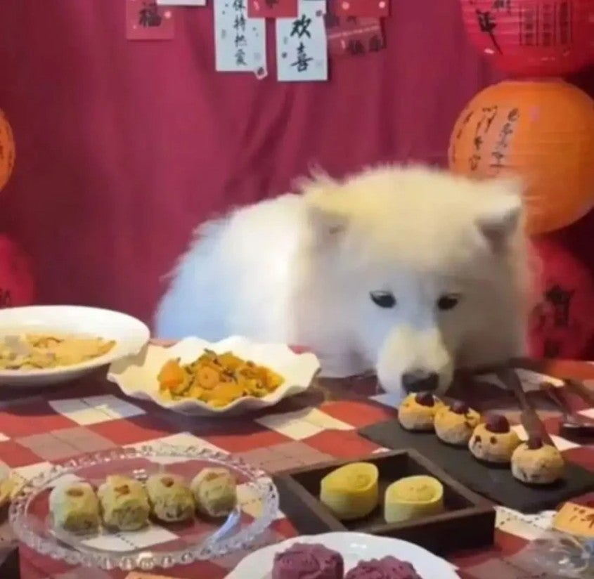 年夜饭