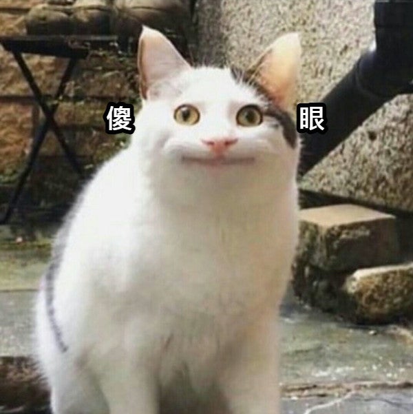 傻眼