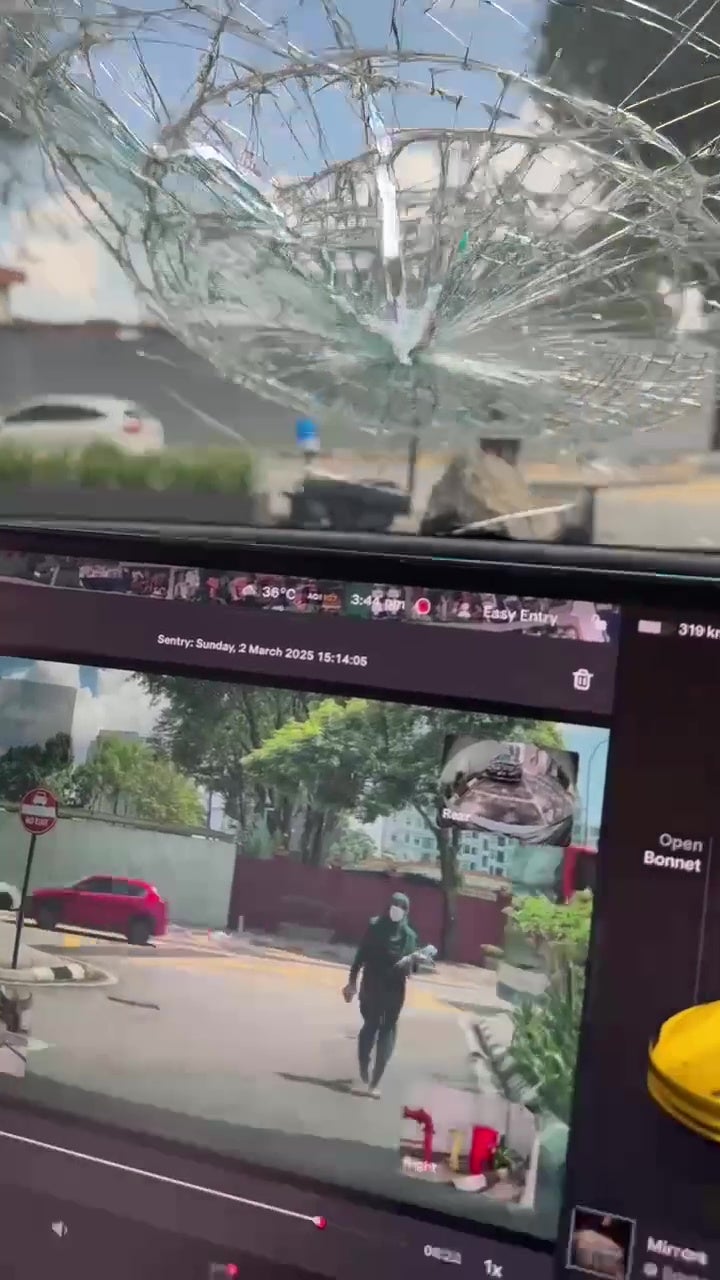 woman smash tesla windscreen with stone 3