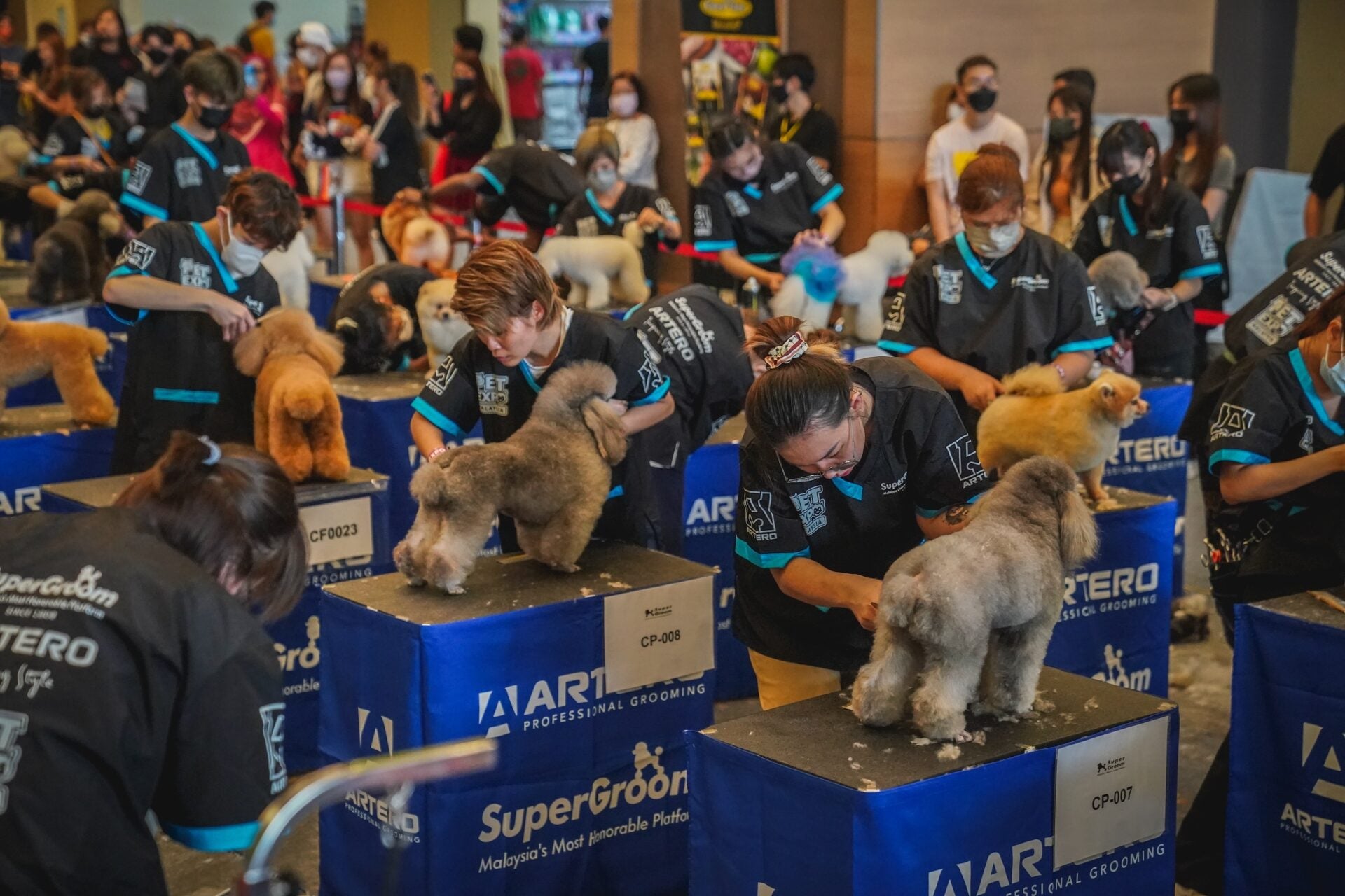 Supergroom 14