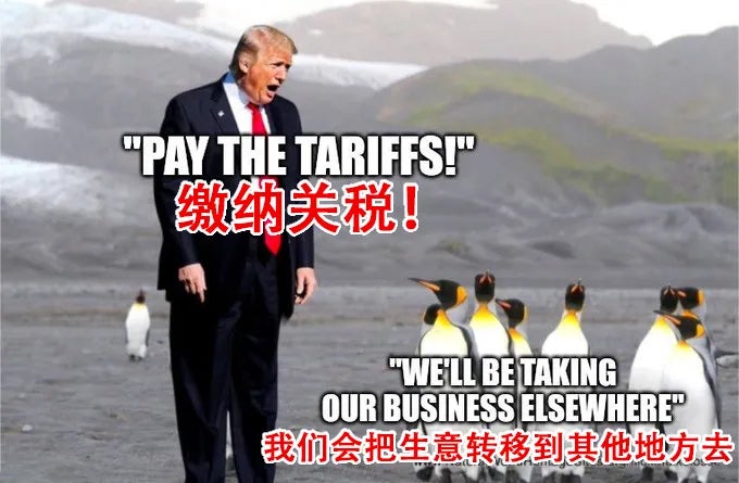 企鹅