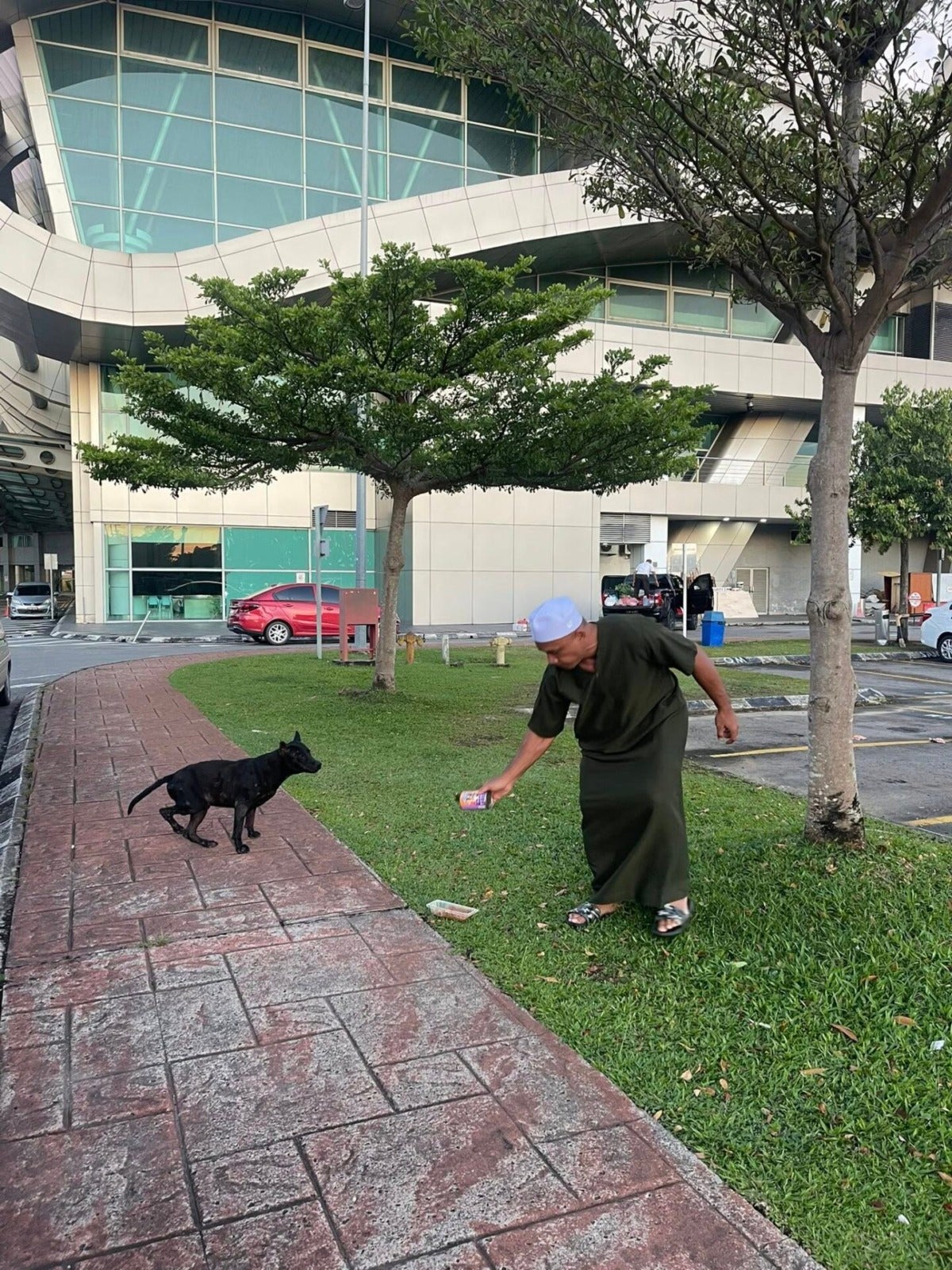 AJ Pyro Lias muslim feed take care stray dogs sabah kk 2