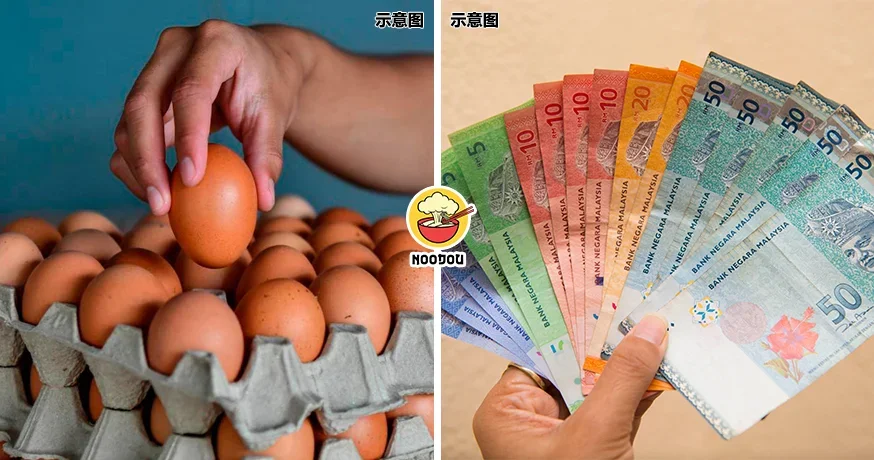 Egg Subsidy Ft Img