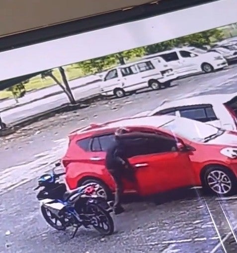 curi 1