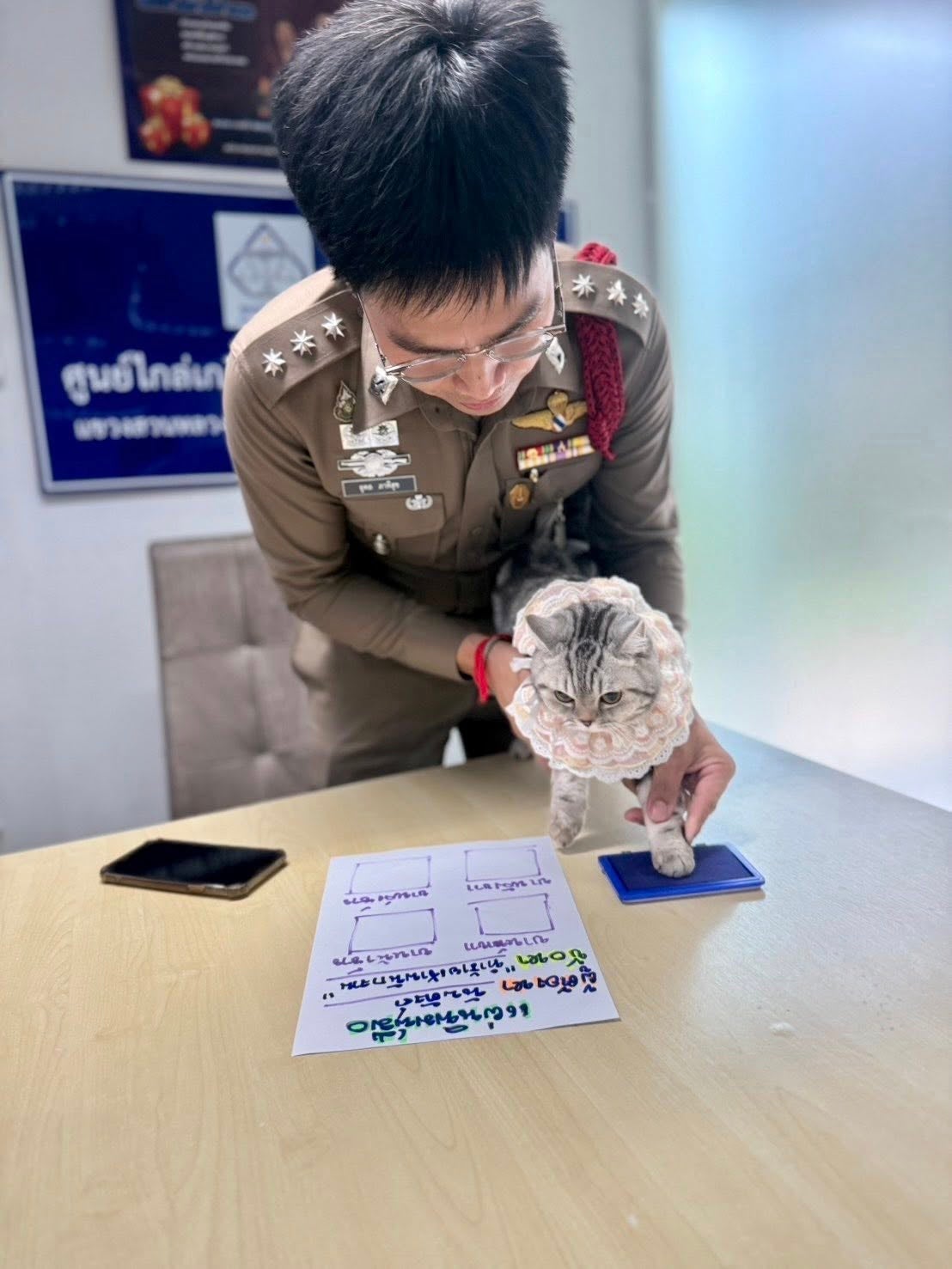 顽皮猫咪走失袭击警察被逮捕拍犯罪照6