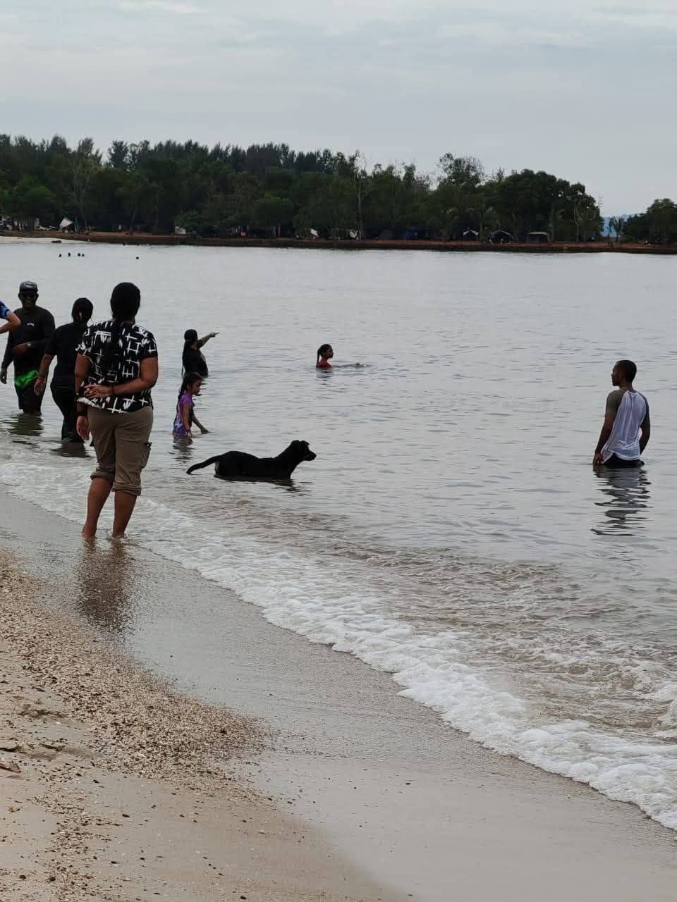 黑狗在海边嬉水引发争议穆斯林port dickson pantai saujana 2