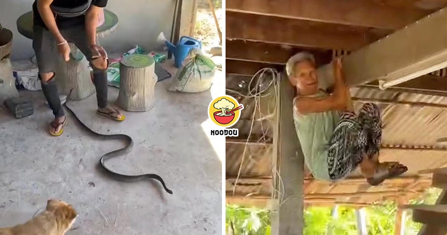 Grandma Snake Geng Ft Img