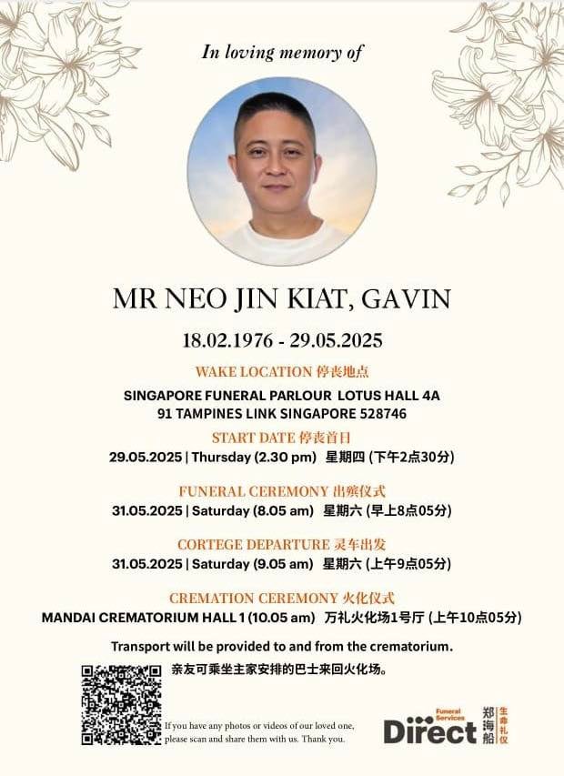 gavin neo