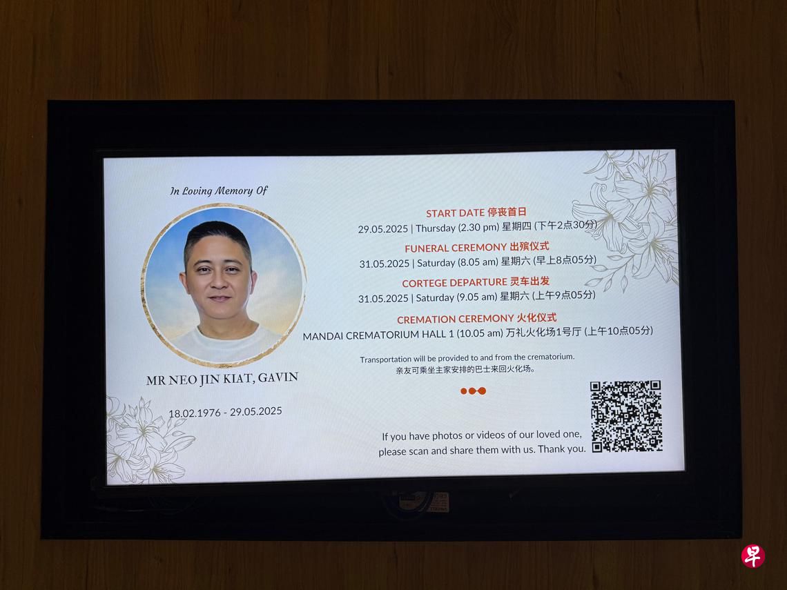 gavin neo2