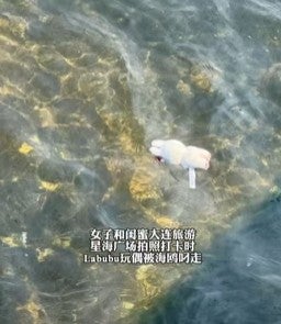 labubu in sea