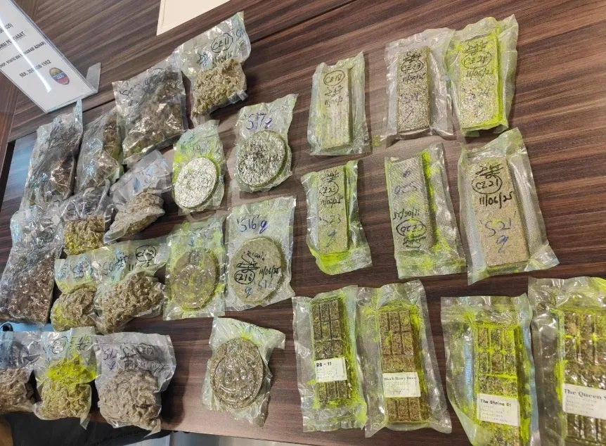 labubu砖块大麻走私运毒毒品
