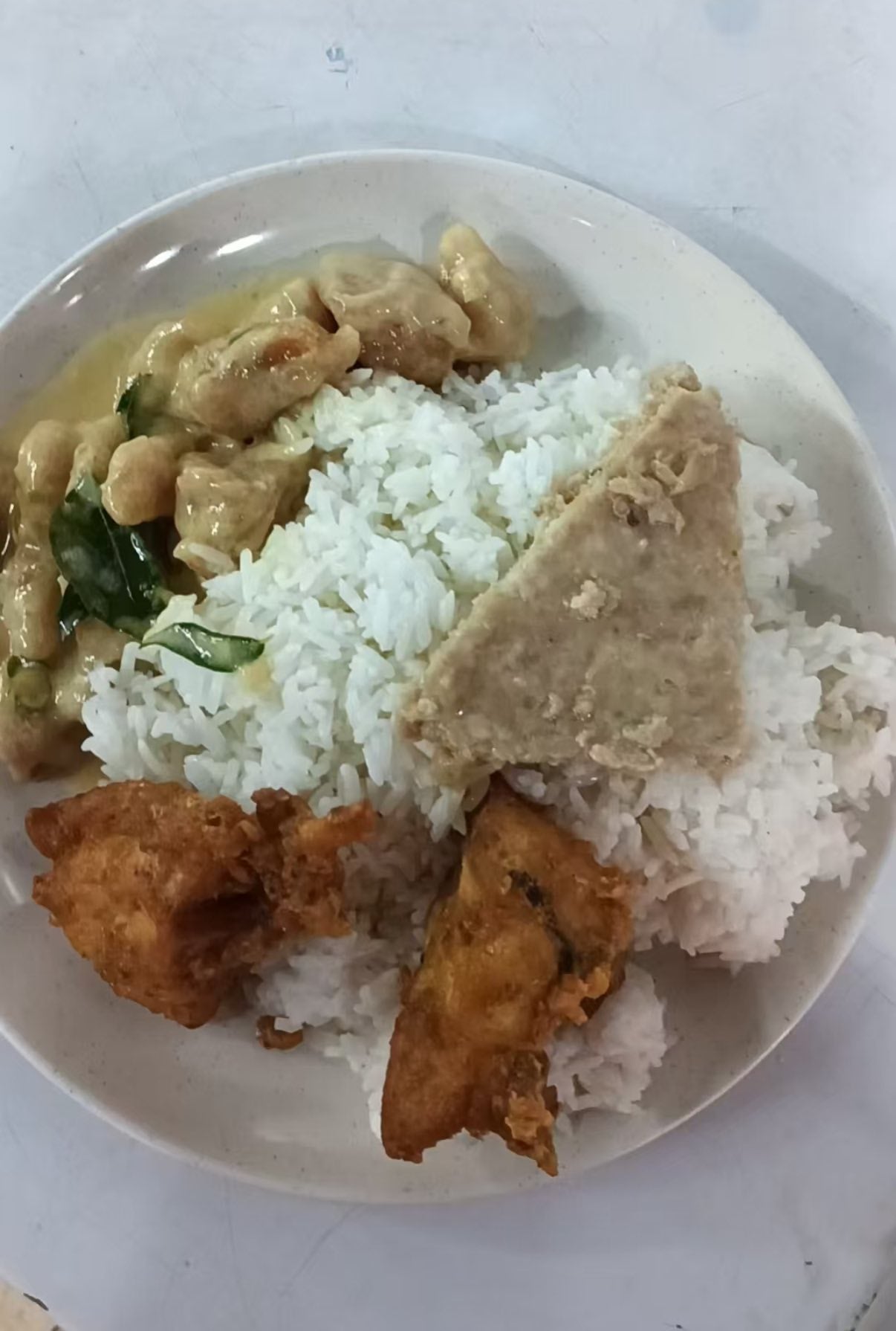 zap fan rm13 all meat
