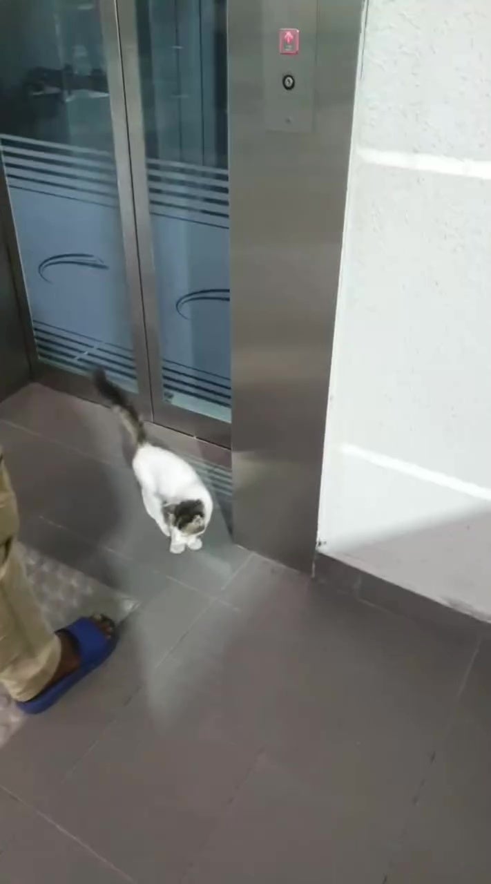 白猫lrt站电梯 1